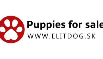 elitdog_logo