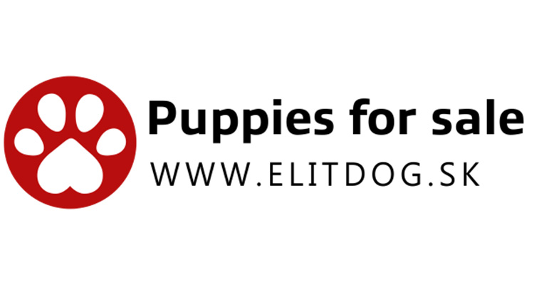 elitdog_logo